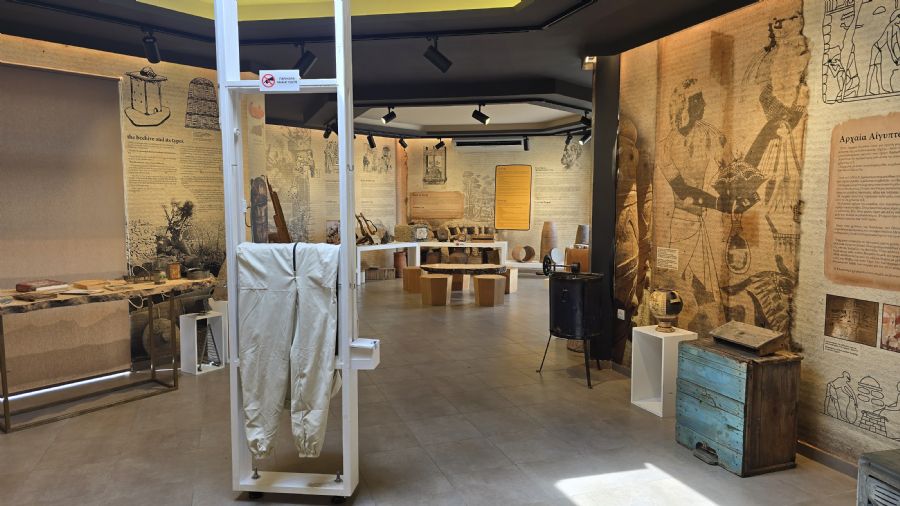 מוזיאון הדבש